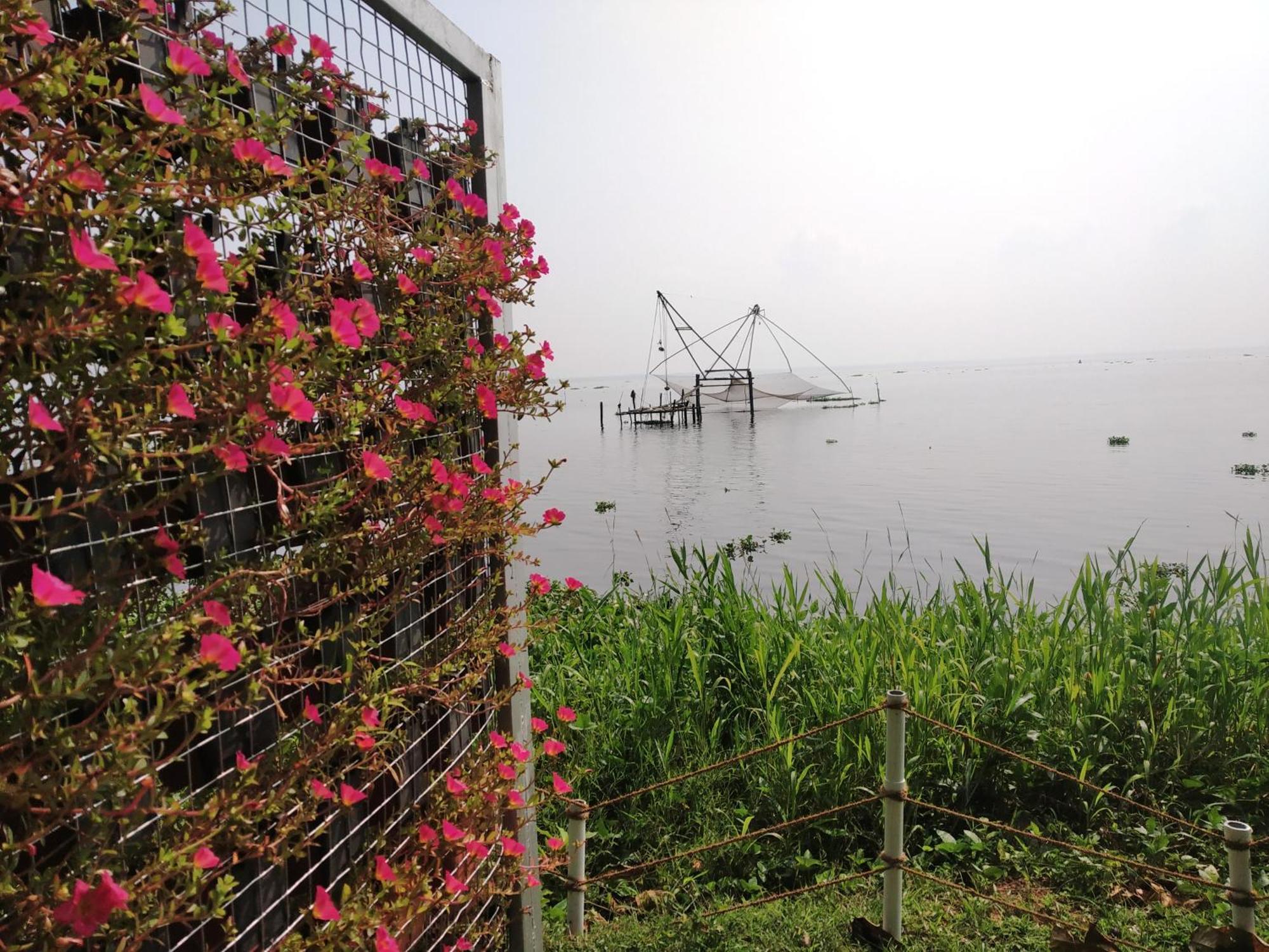 منتجع ديشادان باكووتر Alappuzha المظهر الخارجي الصورة